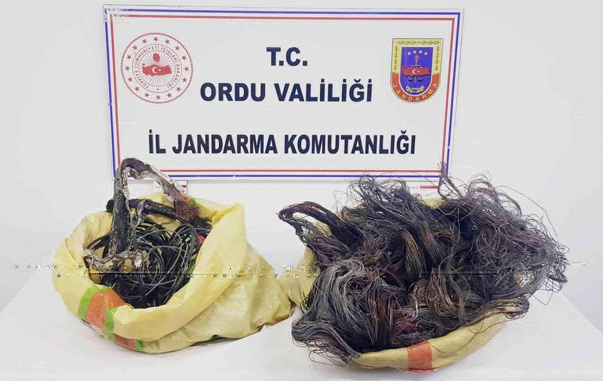 Ordu\'da kablo hırsızlığı ve sahte içki üretimi yapan yabancı uyruklu şahıs tutuklandı