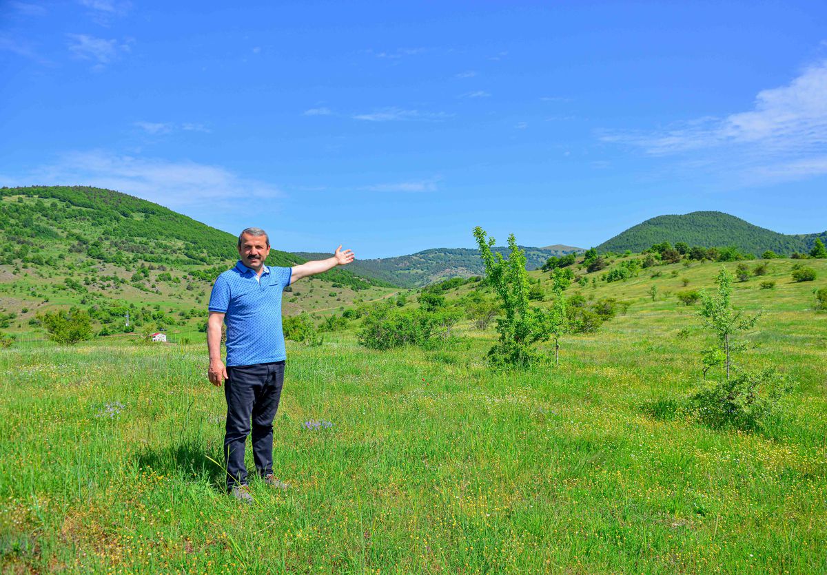 Ordu'nun Akkuş ilçesine ikinci güneş enerjisi santrali 2023'te kurulacak