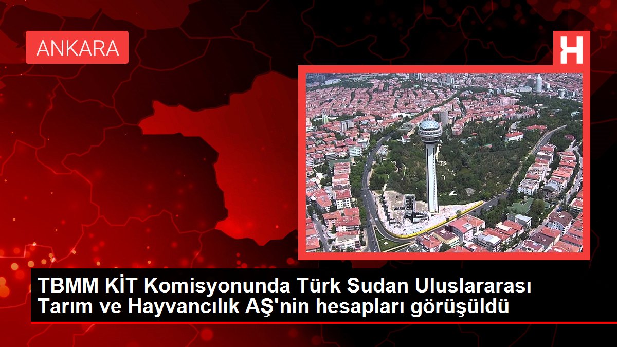 TBMM KİT Komisyonunda Türk Sudan Uluslararası Tarım ve Hayvancılık AŞ'nin hesapları görüşüldü