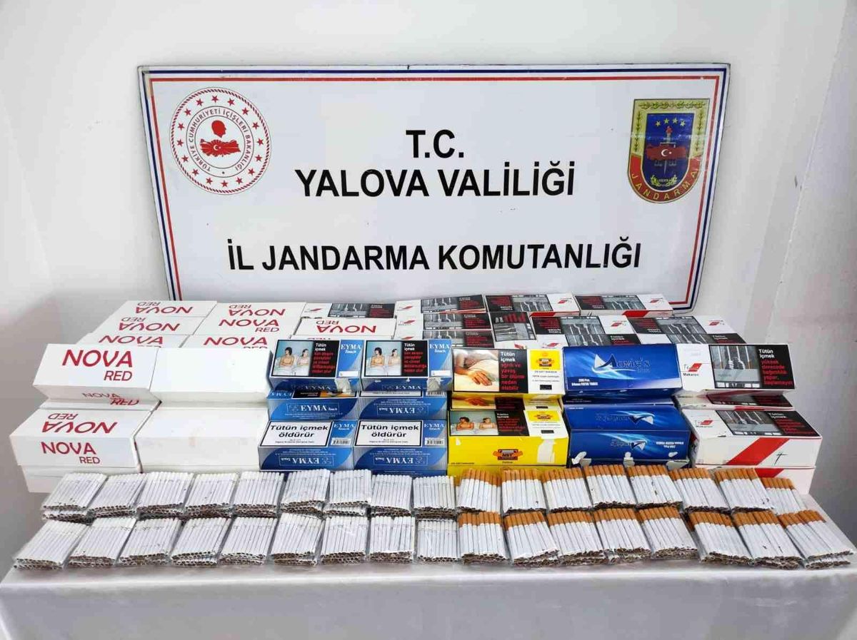 Yalova\'da 26 bin 400 adet dolu makaron ele geçirdi