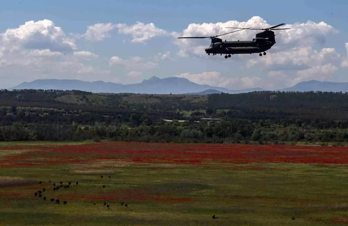 Almanya, 60 adet Chinook tipi helikopter alacak