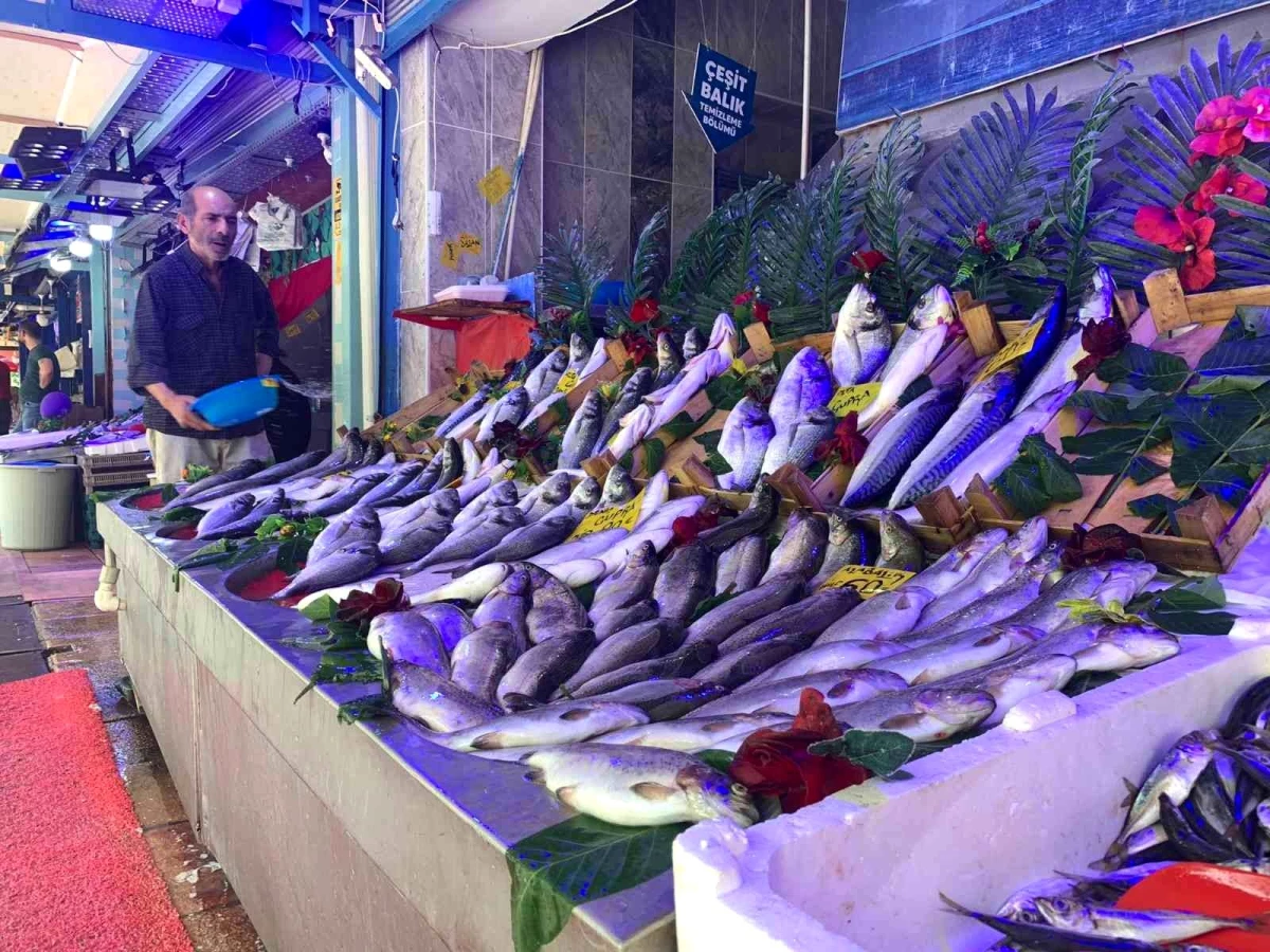 Av yasağına rağmen Eskişehir\'deki balık tezgahları dolu