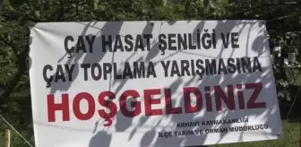 Çay Hasat Şenliği ve Okullar Arası Çay Toplama Yarışması düzenlendi