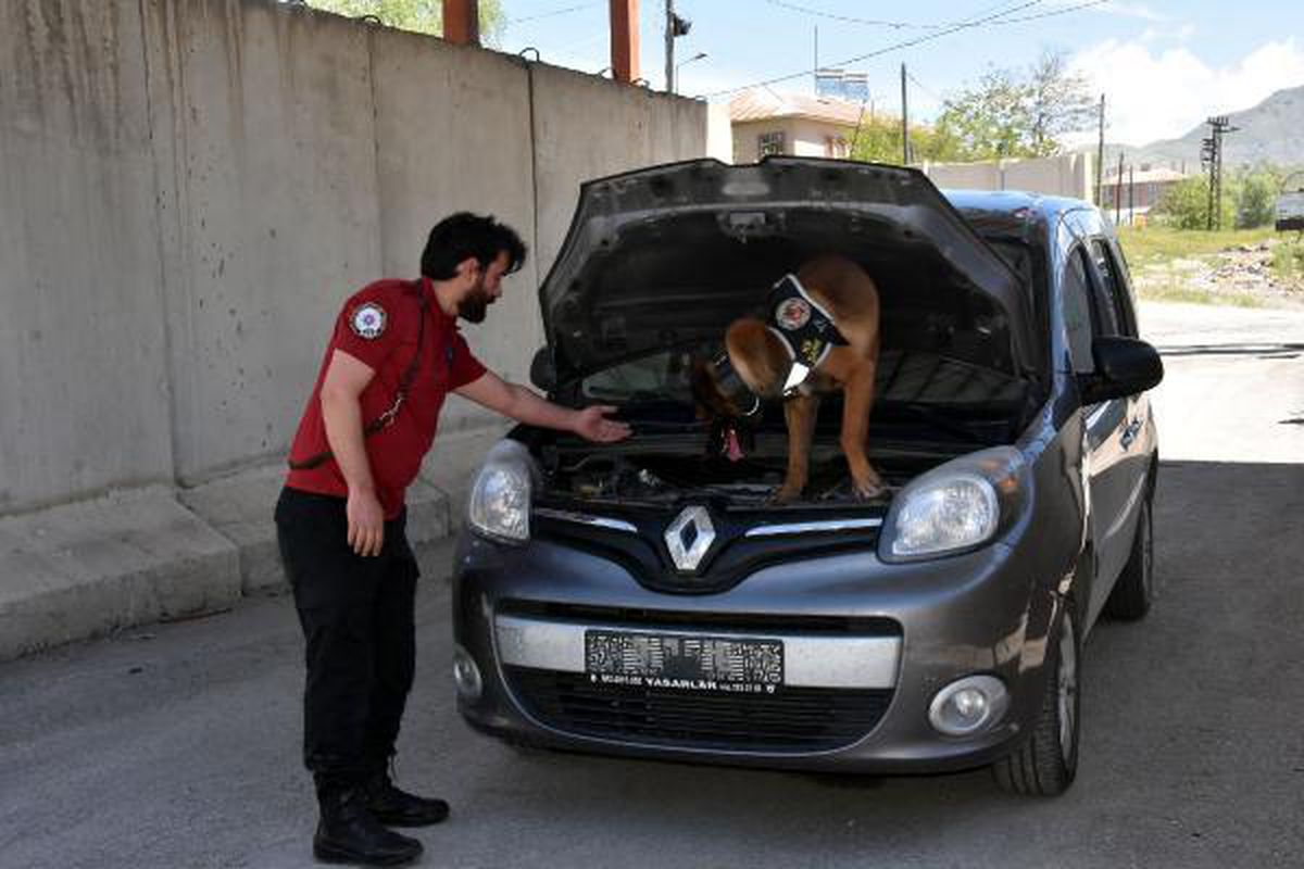 'DARK' VE 'BUFFY' İLE UYUŞTURUCU SATICILARINA GÖZ AÇTIRILMIYOR