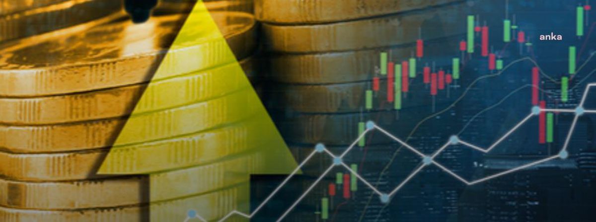 Doğal Gaz Fiyatlarına Konutta Yüzde 30, Sanayide Yüzde 10 Zam Yapıldı