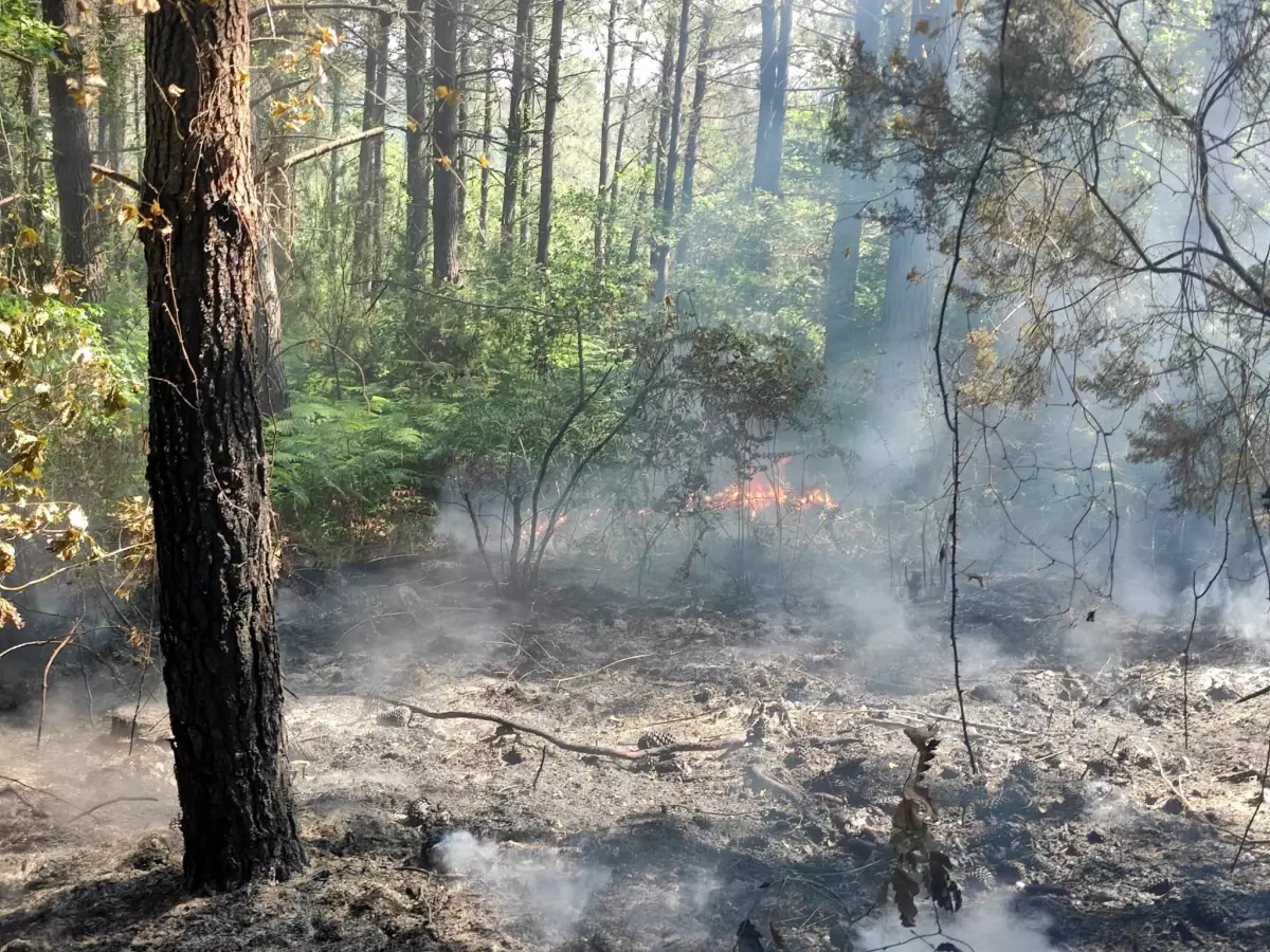 Eyüpsultan'da yangın çıkan ormanlık alanda soğutma çalışması tamamlandı
