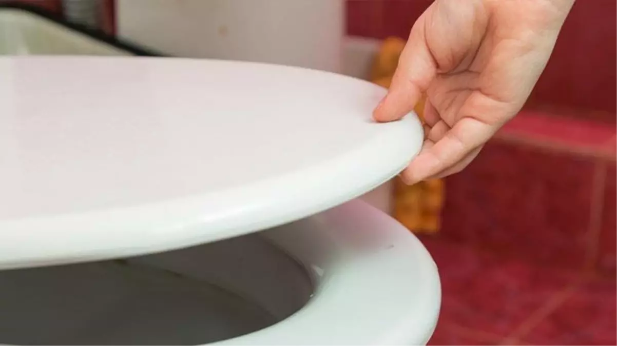 Bilim insanları vatandaşları klozetlerle ilgili uyardı! Virüsler diş fırçasına geçebilir
