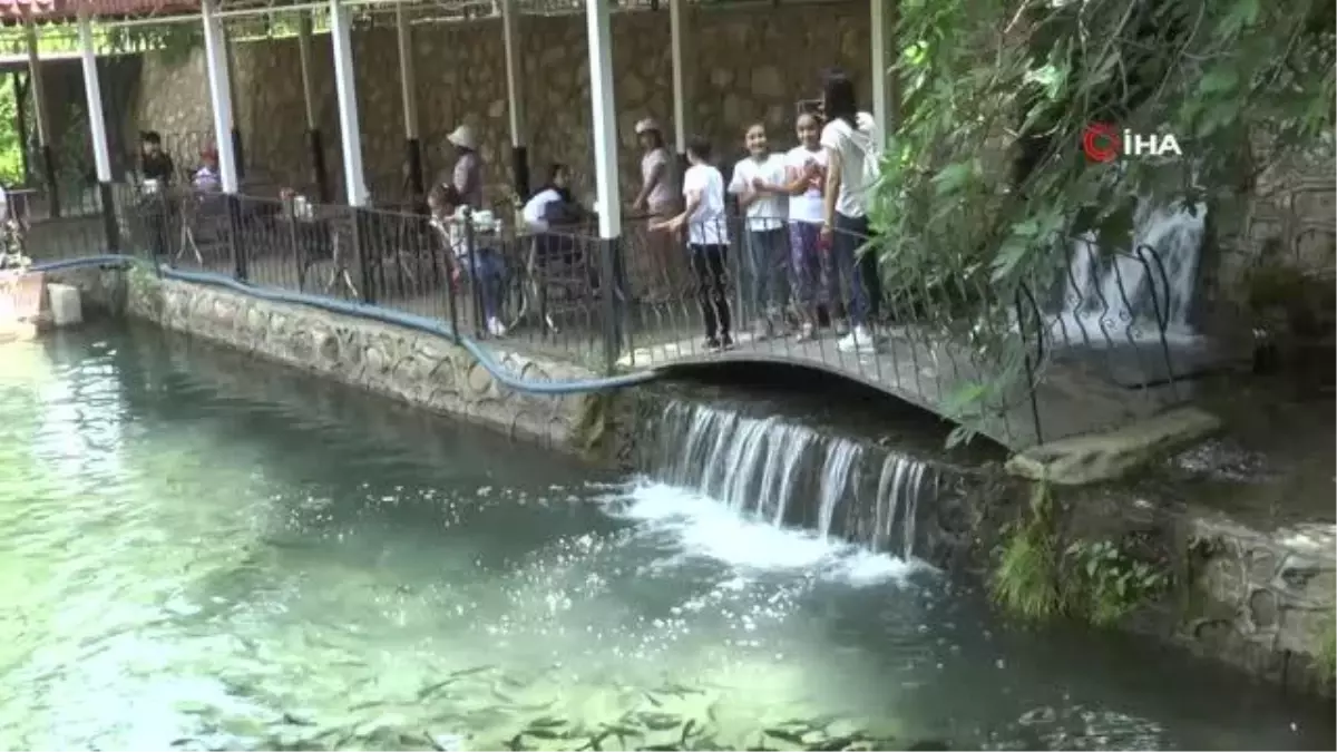 \'Lider Çocuk Tarım Kampı\' projesi çerçevesinde ilkokul öğrencileri balık yetiştiriciliğini öğrendi