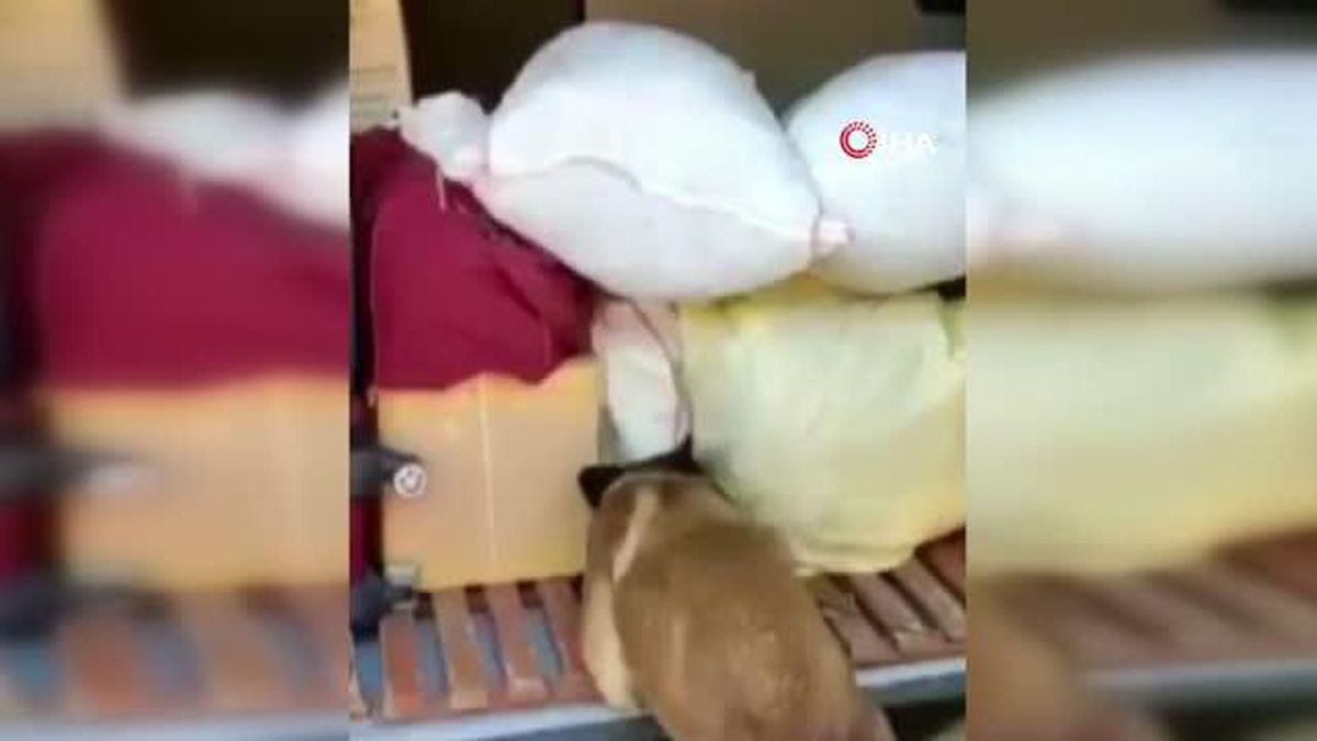 Malatya'da 12 kilo uyuşturucu ele geçirildi