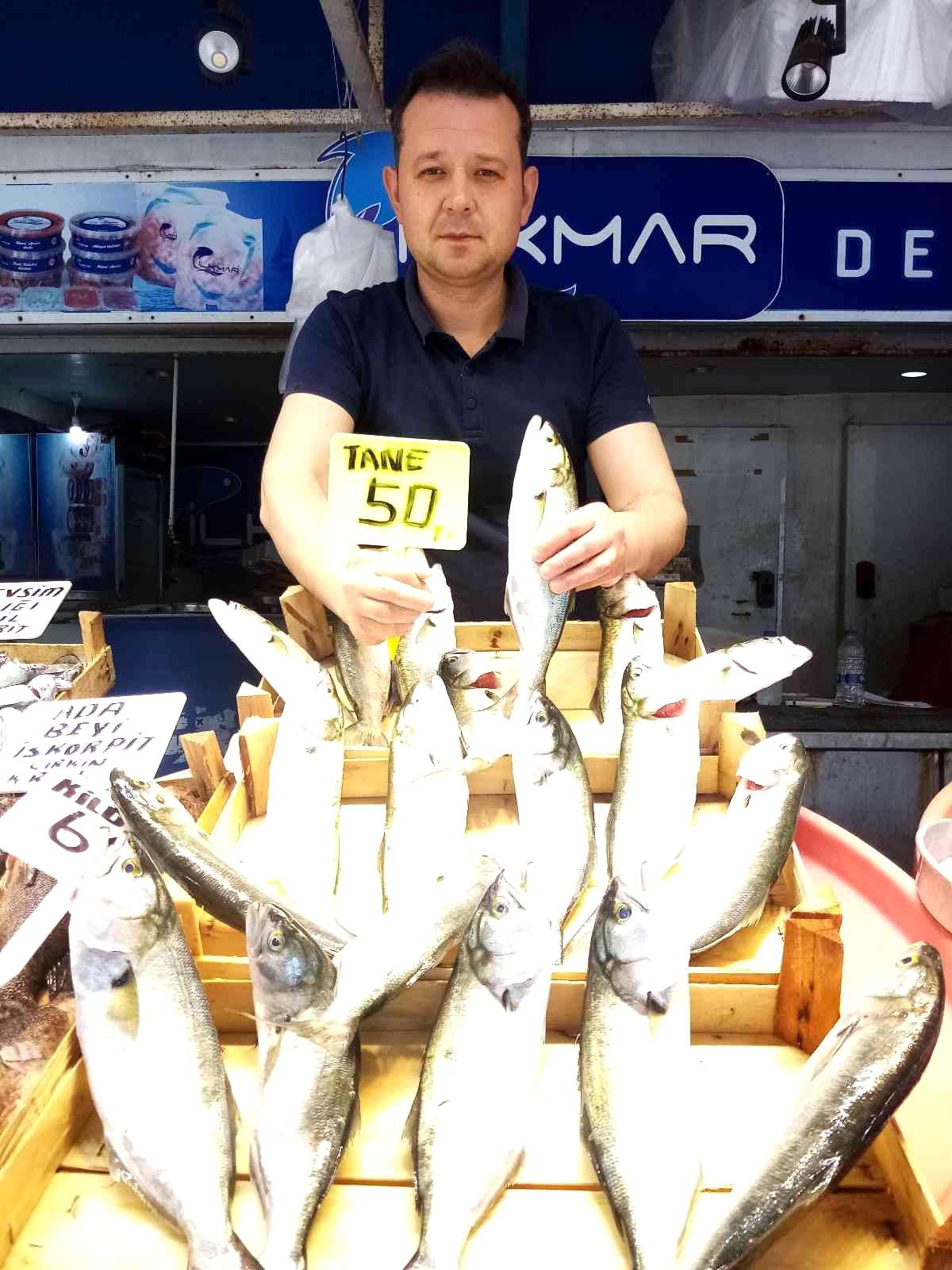 Marmara\'da lüfer bereketi