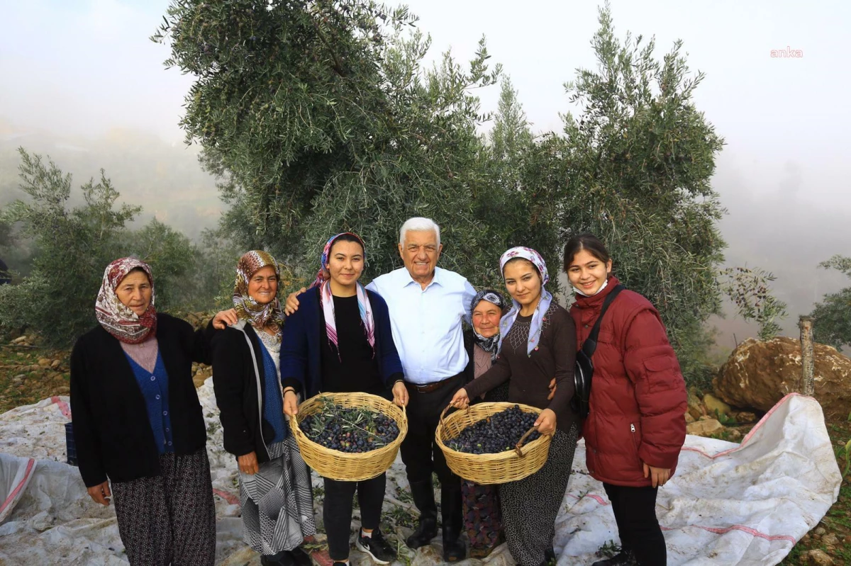 Muğla Büyükşehir\'den \'Milas Zeytini\'nin Geliştirilmesi ve Yaygınlaştırılmasını Sağlayacak Hamle