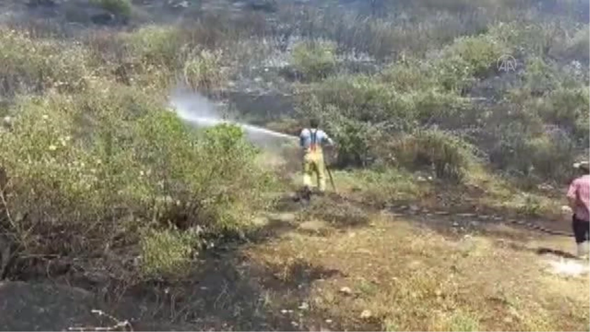 Ödemiş\'te tarım arazisinde başlayan yangın zeytin ağaçlarına zarar verdi