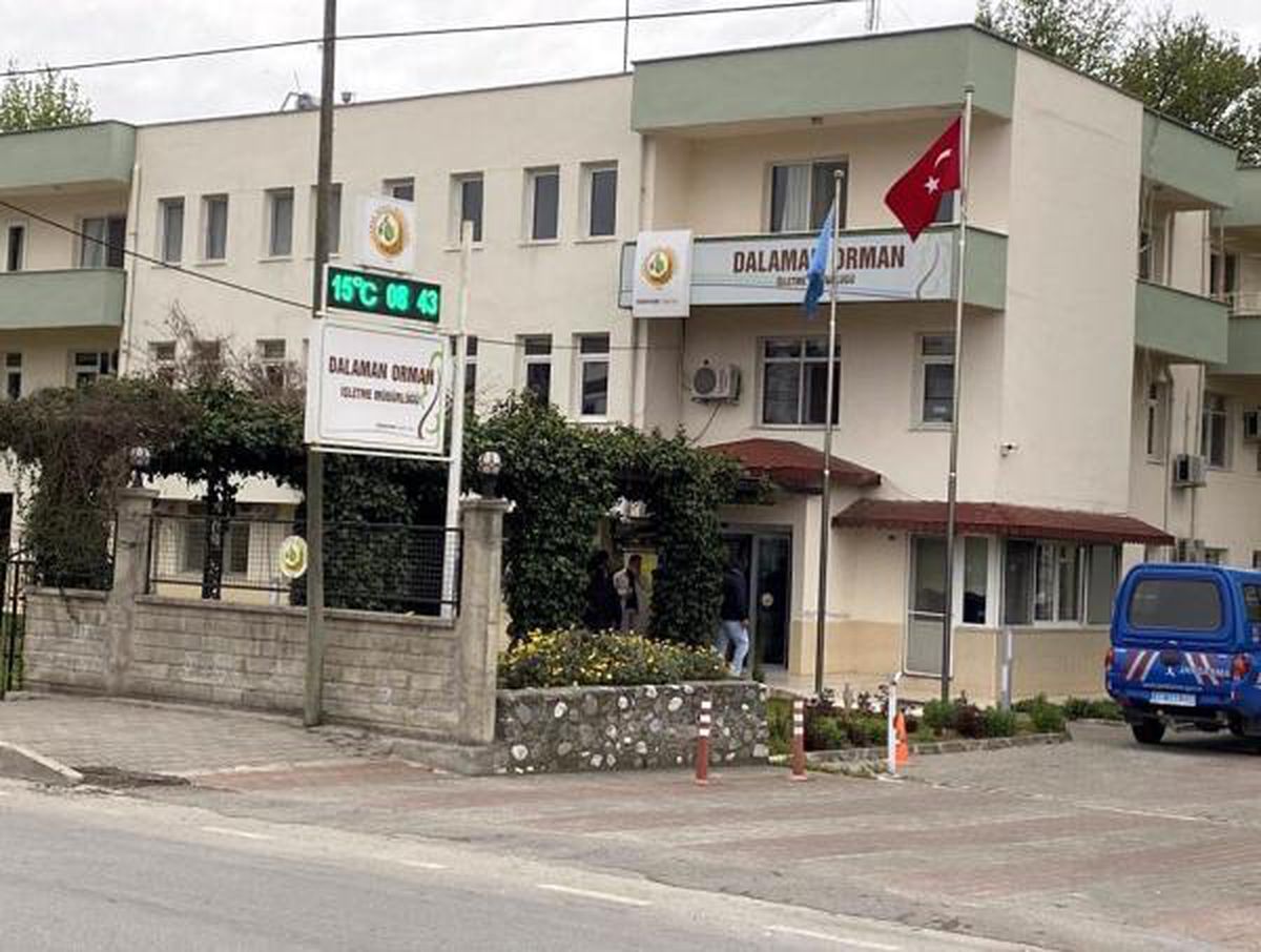Orman vurgunu operasyonunda sahte vaziyet planı