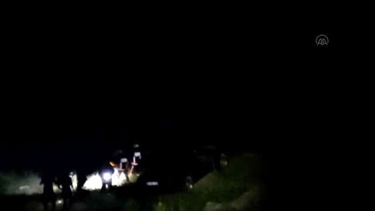 Park halindeki otomobil şarampole devrildi