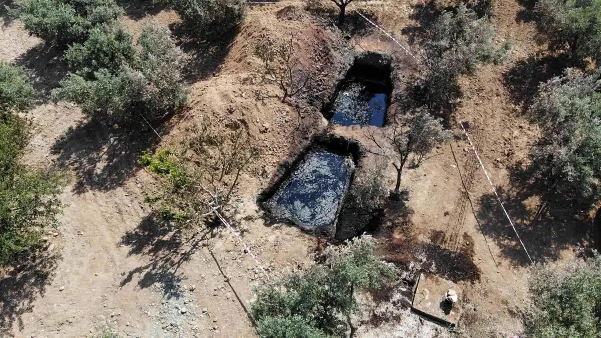 Manisa\'da zeytin ağaçlarını sulamak için kazılan kuyudan petrol çıktı!