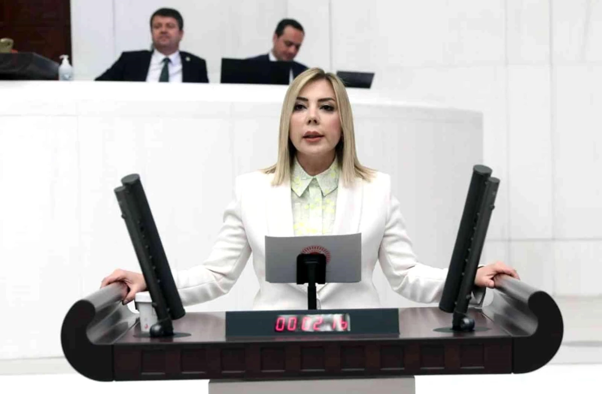 AK Partili Milletvekili Gökcan: "HDP şiddetin kendisidir"
