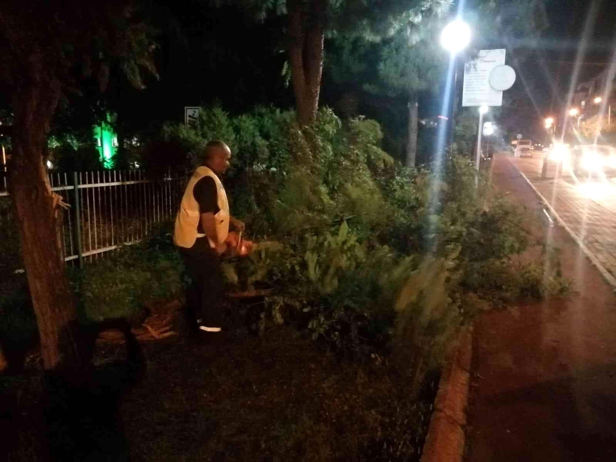 Aydın\'da fırtına kabusu, Büyükşehir ekipleri bu defa fırtına ile yarıştı