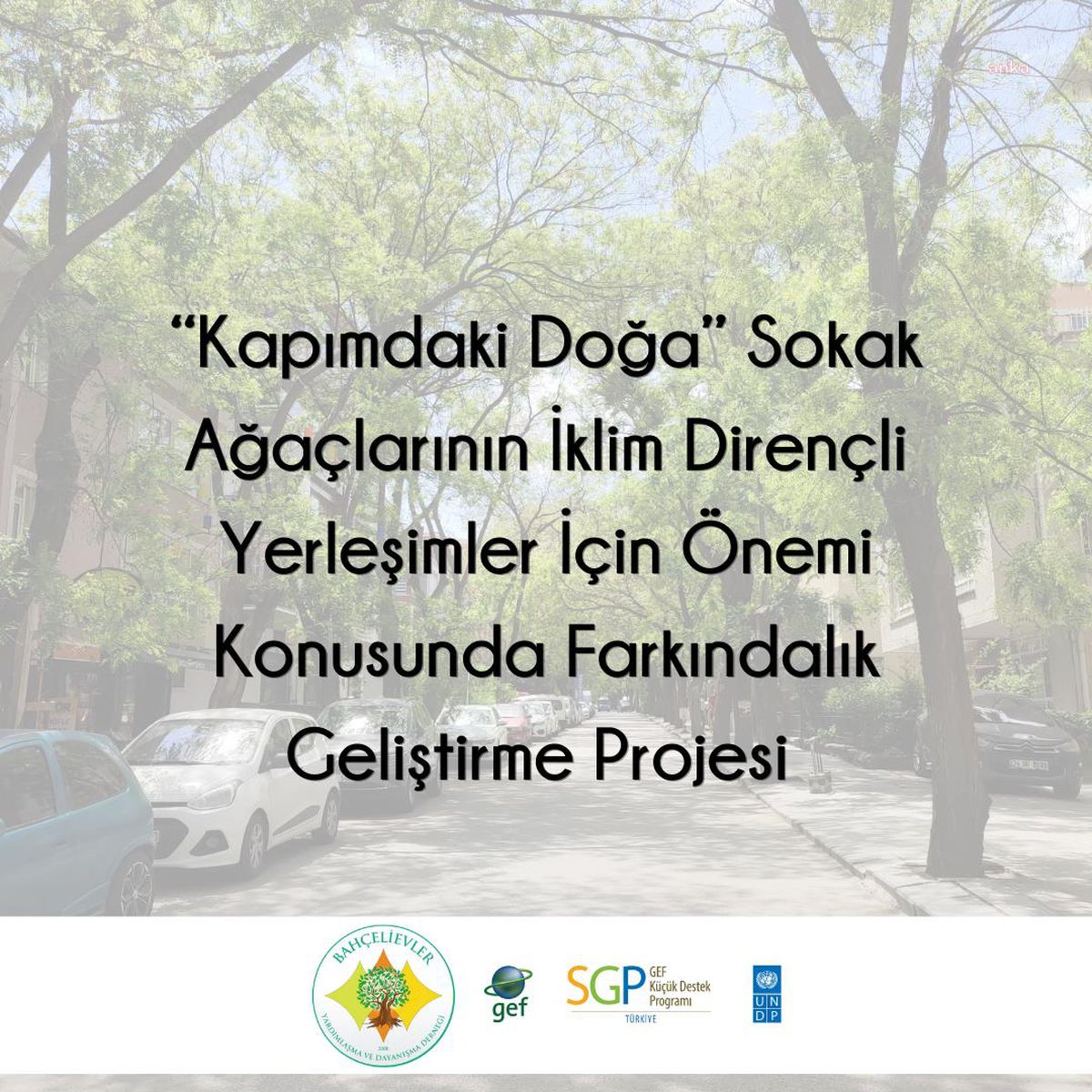 Çankaya\'da Dünya Çevre Günü\'nde Şenlik Var