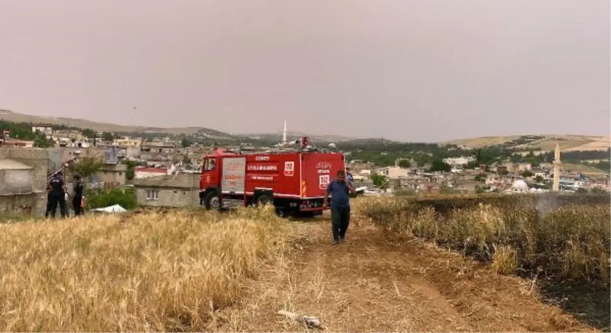 Gaziantep\'te arpa ekili tarlada yangın