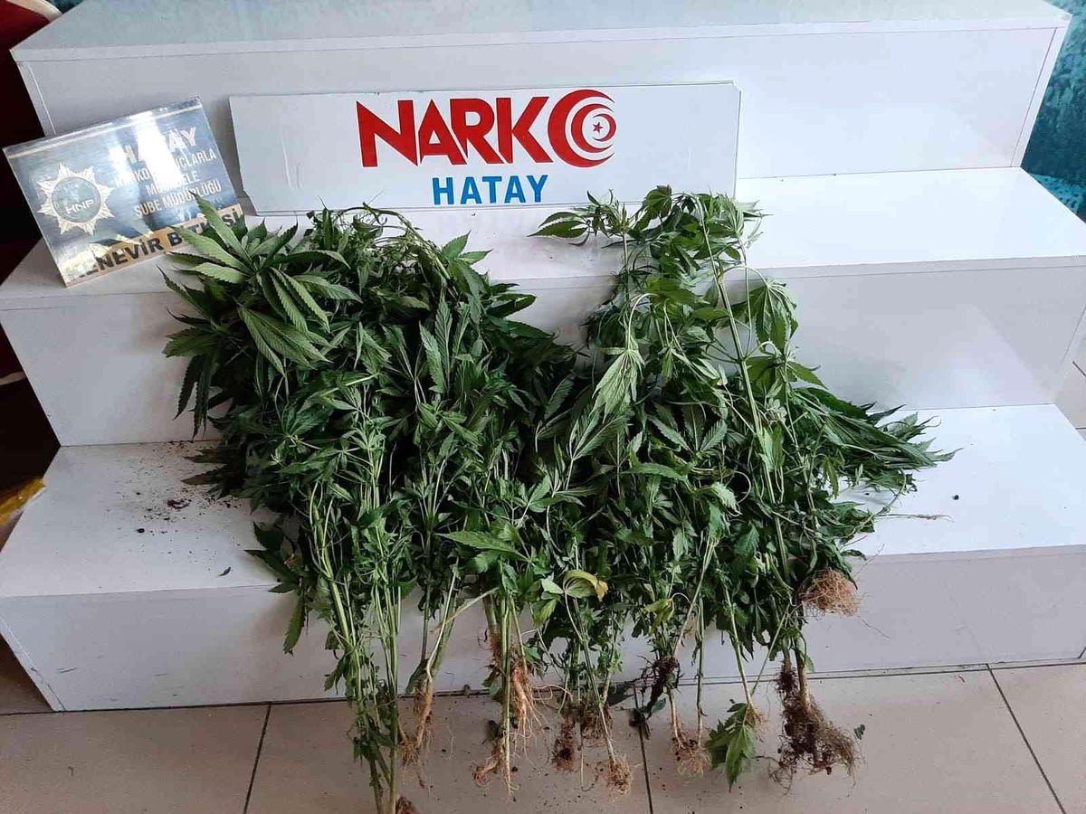 Hatay\'da uyuşturucu operasyonu