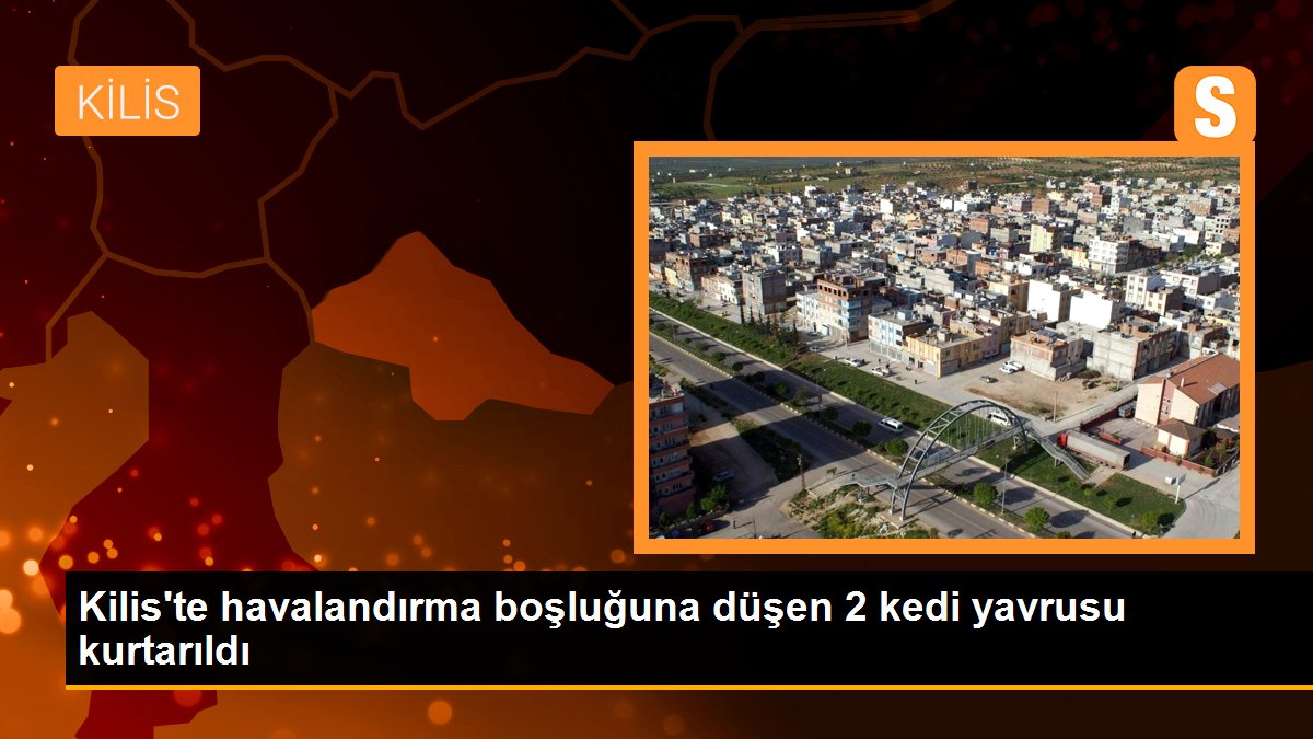 Kilis\'te havalandırma boşluğuna düşen 2 kedi yavrusu kurtarıldı