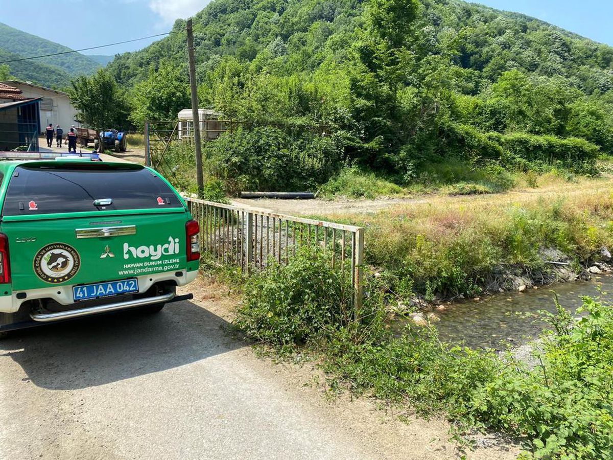 Kocaeli\'de atıkları dereye döken besi çiftliği hakkında adli işlem başlatıldı
