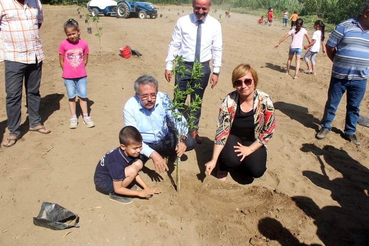 Köyceğiz\'de öğrenciler okul bahçesine narenciye fidanı dikti