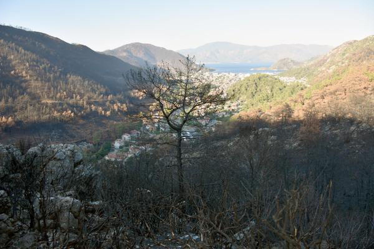 Muğla'da bazı bölgelerde ormanlara giriş yasaklandı