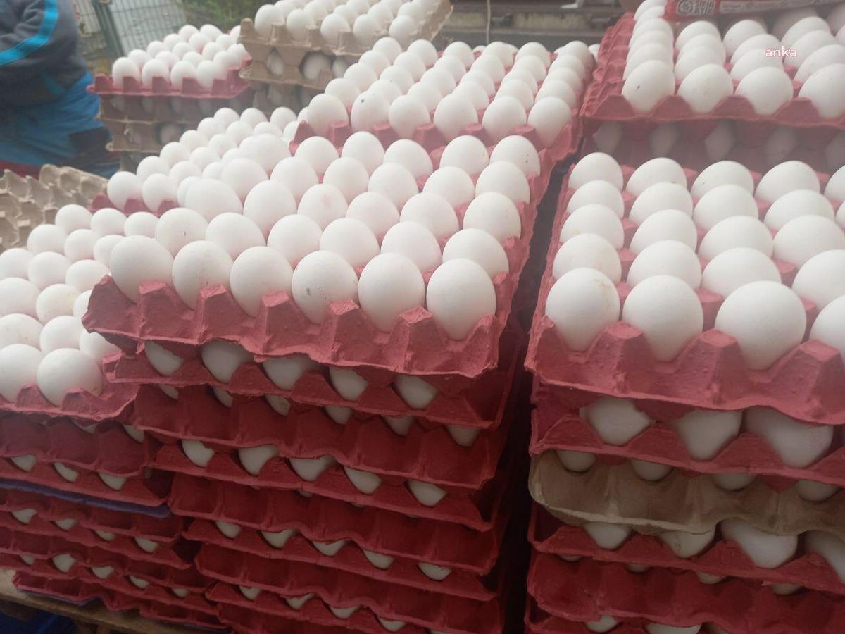 Rekabet Kurulu'ndan Yumurta Sektörüne Yönelik Soruşturma