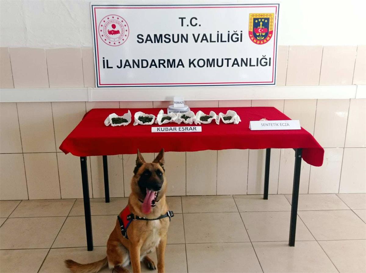 Samsun\'da uyuşturucu operasyonlarında 37 zanlı yakalandı