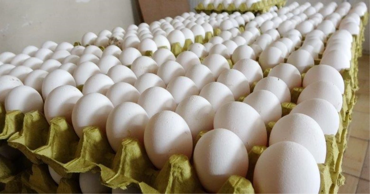 Rekabet Kurumu, yumurta sektörüne soruşturma başlattı!