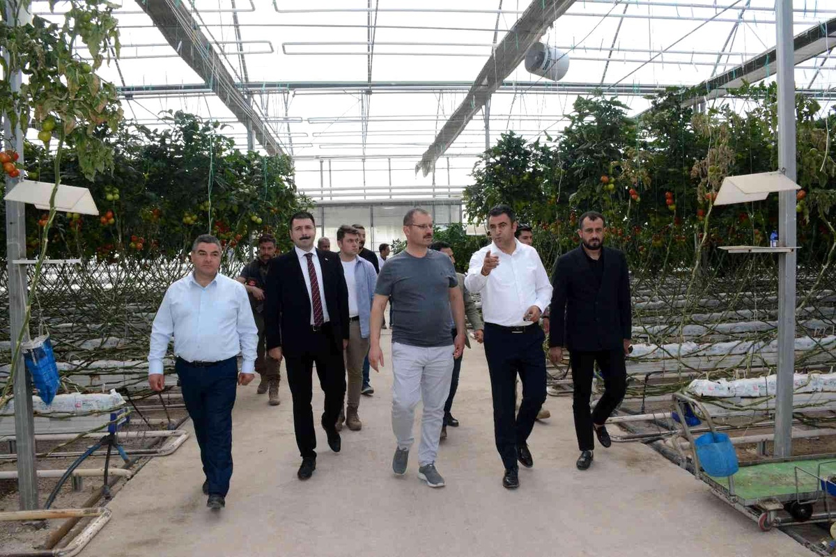 Tatvan heyetinden Van ve Ağrı\'daki seralara inceleme ziyareti
