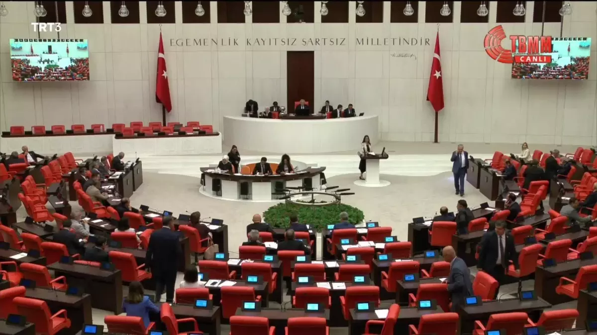 TBMM\'de Hdp ve MHP Milletvekilleri Arasında Kadın Cinayetleri ve İstismar Tartışması