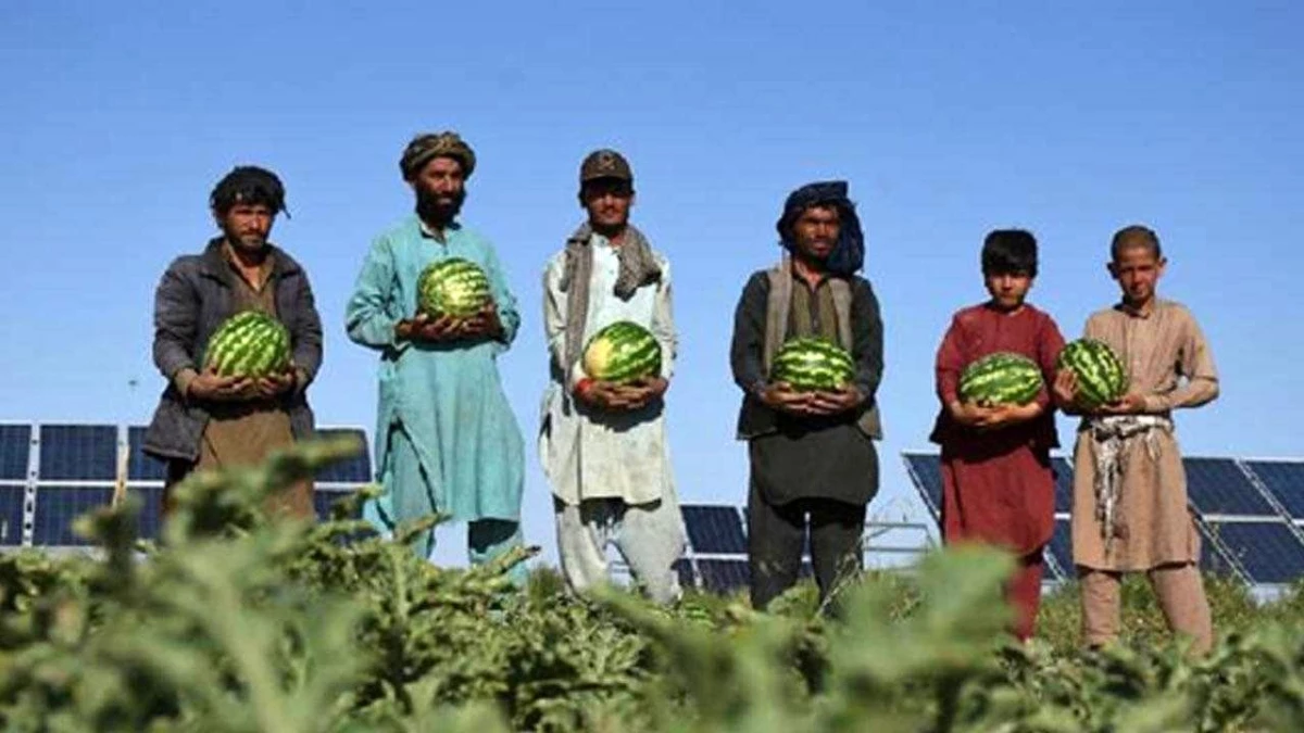 Afganistan\'da Güneş Enerjisi Üretim Sistemi, Çiftçilerin Yardımına Yetişti