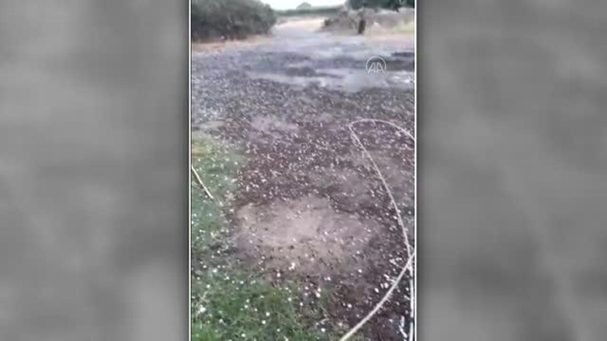 Alaşehir'de dolu yağışı üzüm bağlarına zarar verdi