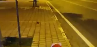 Antalya'da Dostluk Parkı'ndaki matruşkalara saldırı