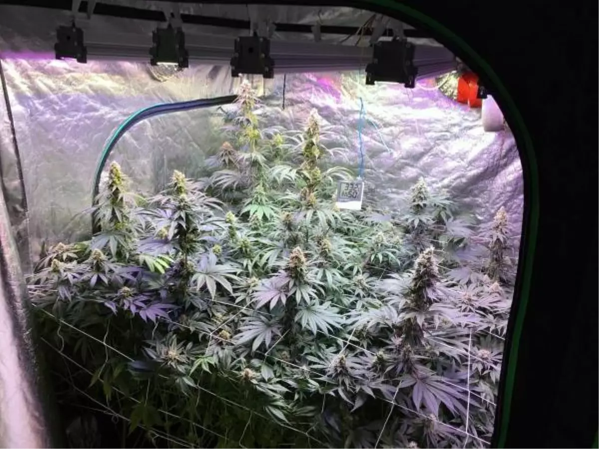 Evde sera kurup uyuşturucu üreten kardeşler suçu birbirlerinin üzerine attı