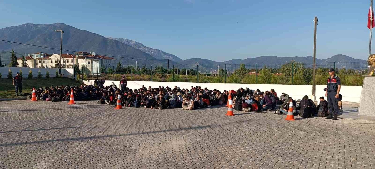 Fethiye\'de 240 düzensiz göçmen yakalandı