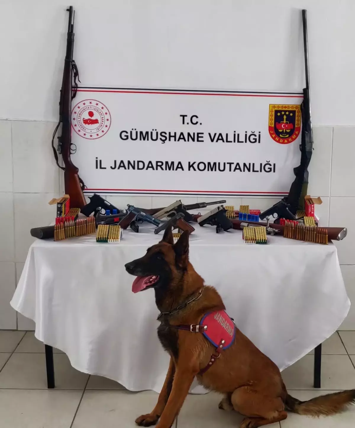 Gümüşhane'de evlerinde kaçak silah bulunan 4 kişi gözaltına alındı