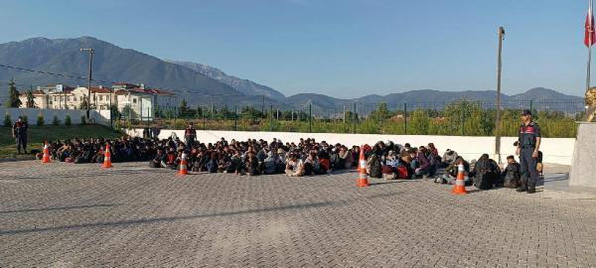 Muğla\'da, ormanda 239 kaçak göçmen ve bir şüpheli yakalandı