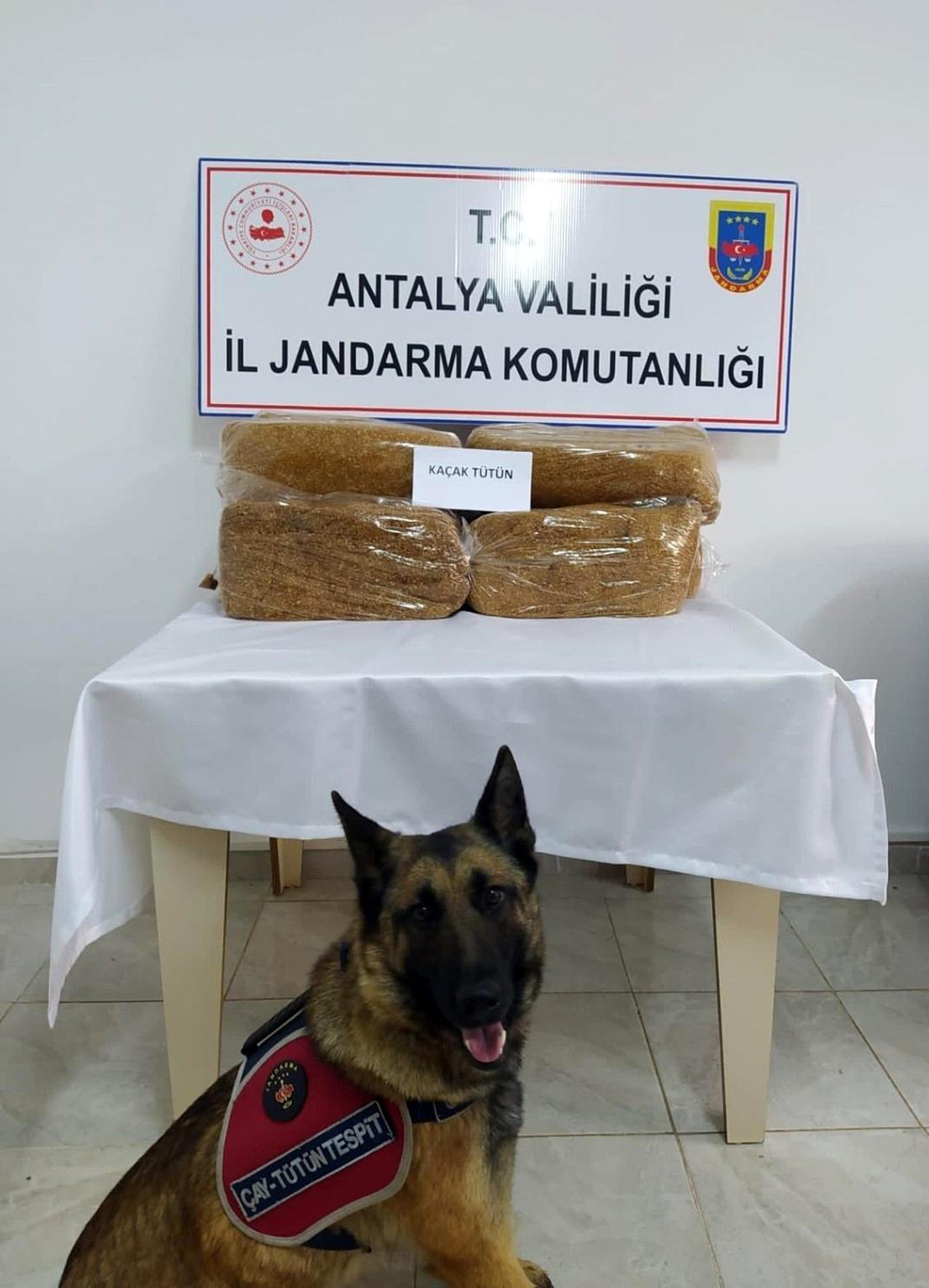 Otobüs bagajında 50 kilo kaçak tütün ele geçirildi