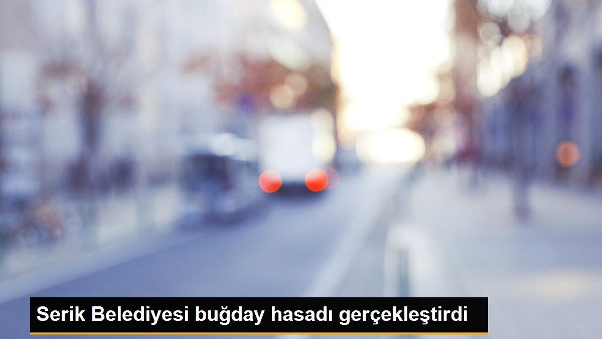 Serik Belediyesi buğday hasadı gerçekleştirdi