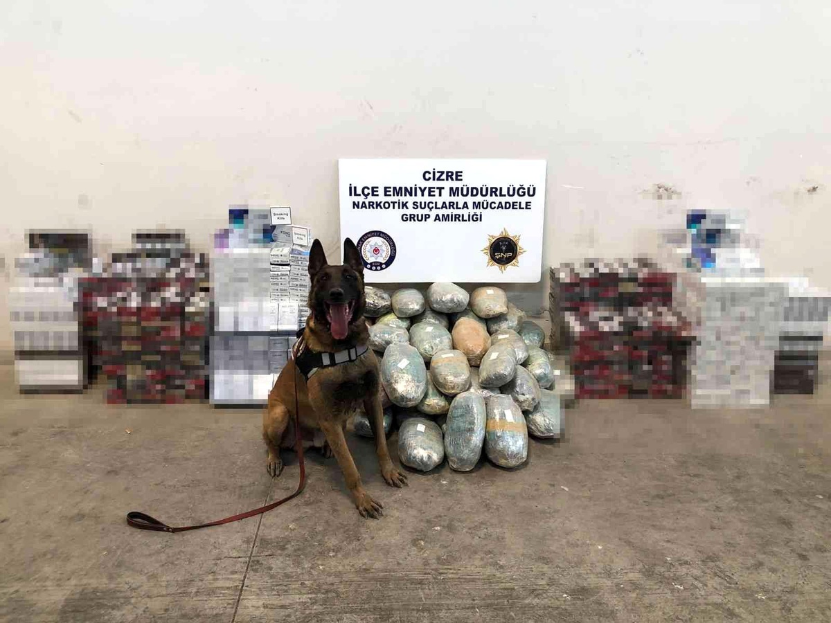 51 kilogram esrar ele geçirildi