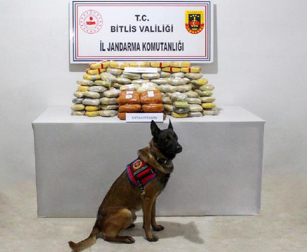 TIR\'daki 89 kilo uyuşturucuyu \'Cesur\' buldu