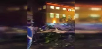 TIR'ın çarptığı ağaç ortadan ikiye ayrıldı