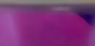 Yapay zeka ASENA sayesinde 7 akrep kurtarılarak doğaya salındı