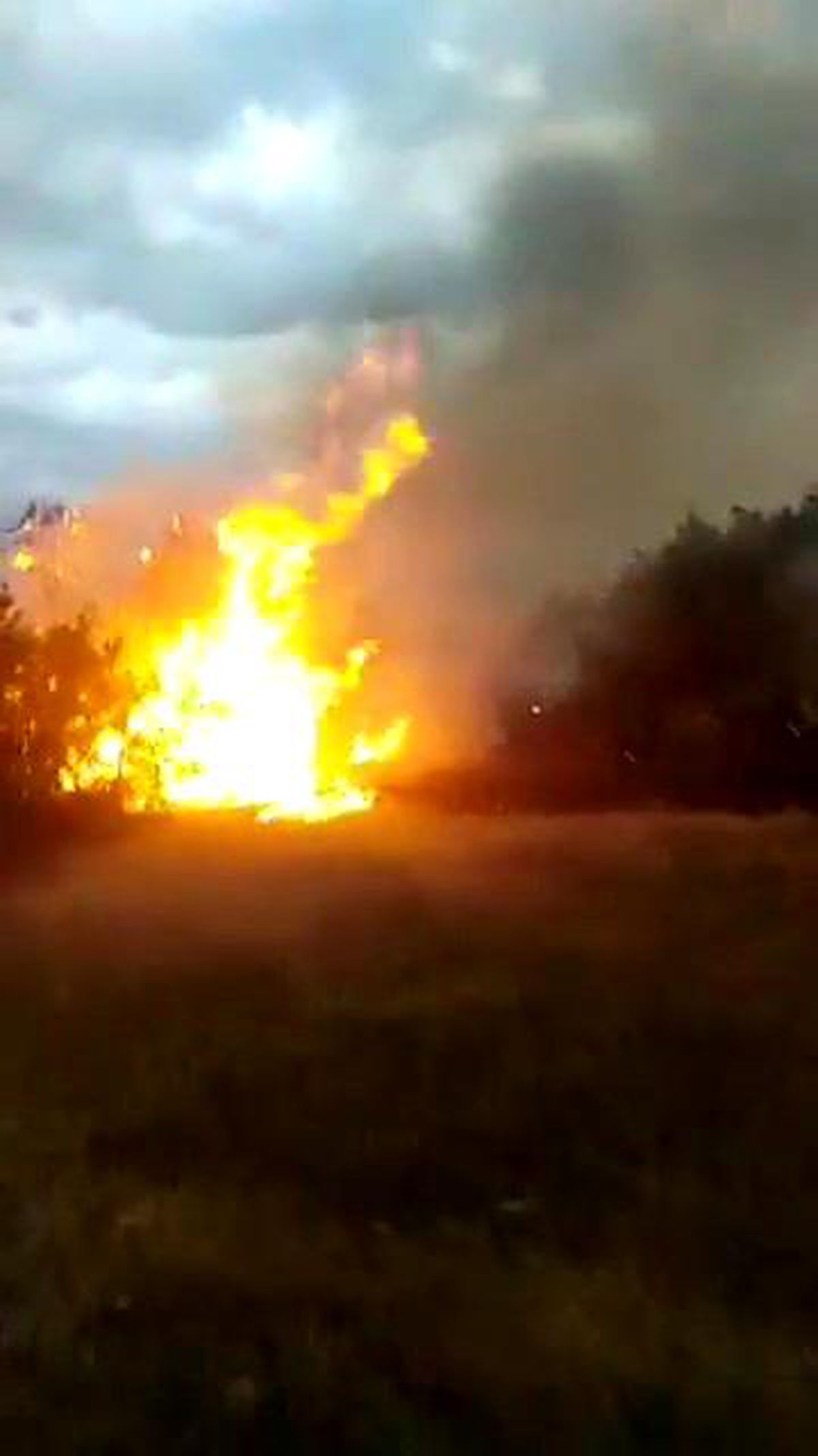 Yıldırım düşmesi sonucu çıkan yangında 10 dönüm alan zarar gördü