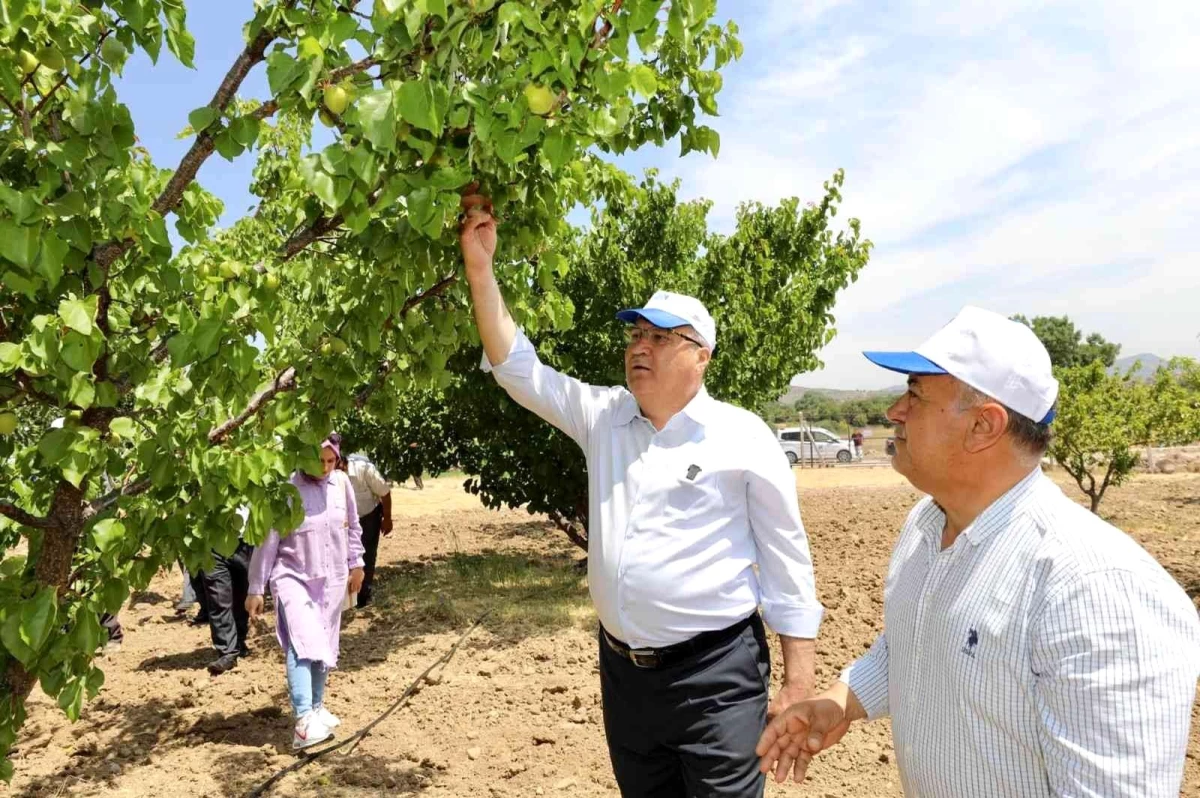 Yunusemre üreticiyi destekliyor, ekonomiye katkı sağlıyor