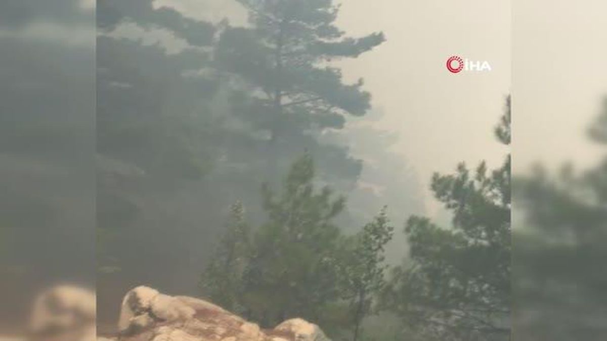 Akıl sağlığı yerinde olmayan şahsın çıkardığı yangında 1 hektar alan yandı