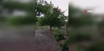 Ankara'nın bazı bölgelerinde dolu yağışı etkili oldu